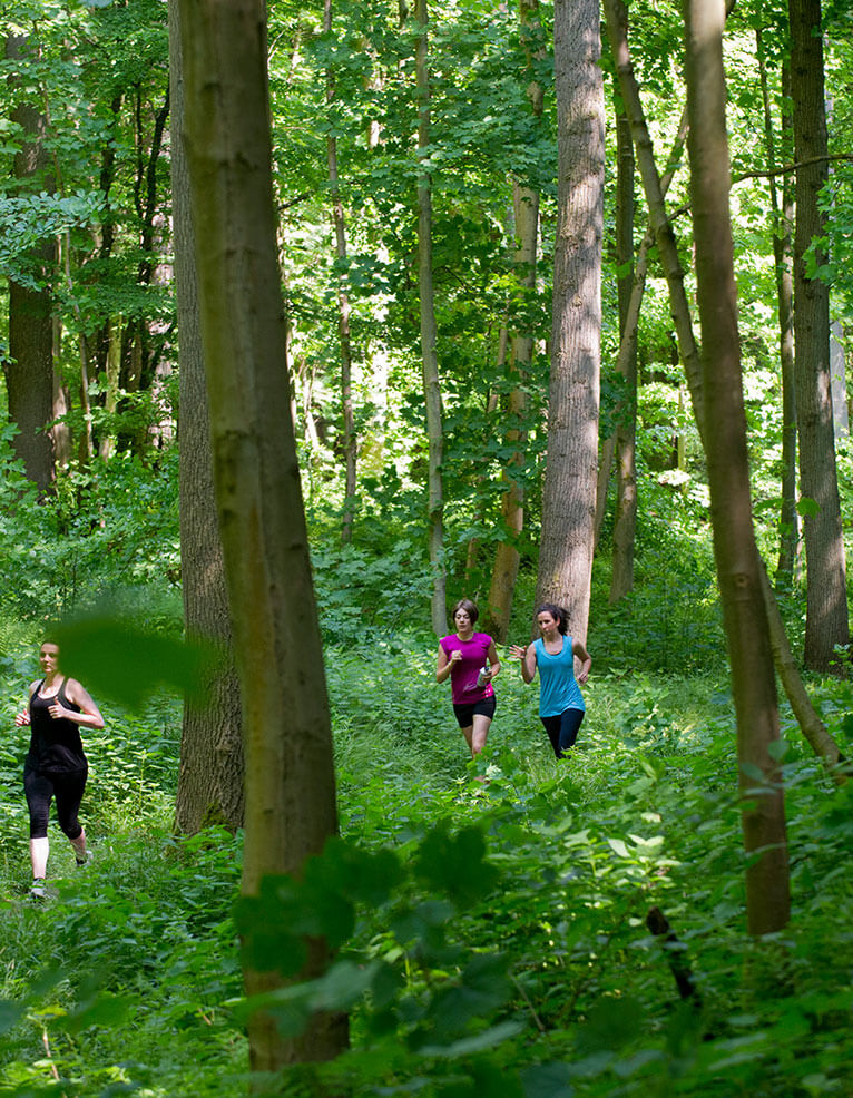 3 personnes font du jogging dans la forêt de Soignes